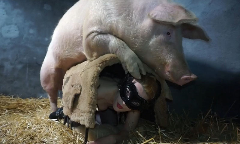 🔞重口慎入🔞大战野猪