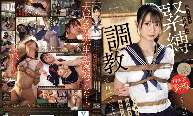樱若菜🌕9月新作破解丨2025🐍